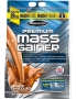 100% Premium Mass Gainer