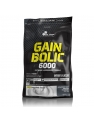 Gain Bolic 6000