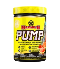 Mammoth Pump