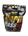 Rapid Mass